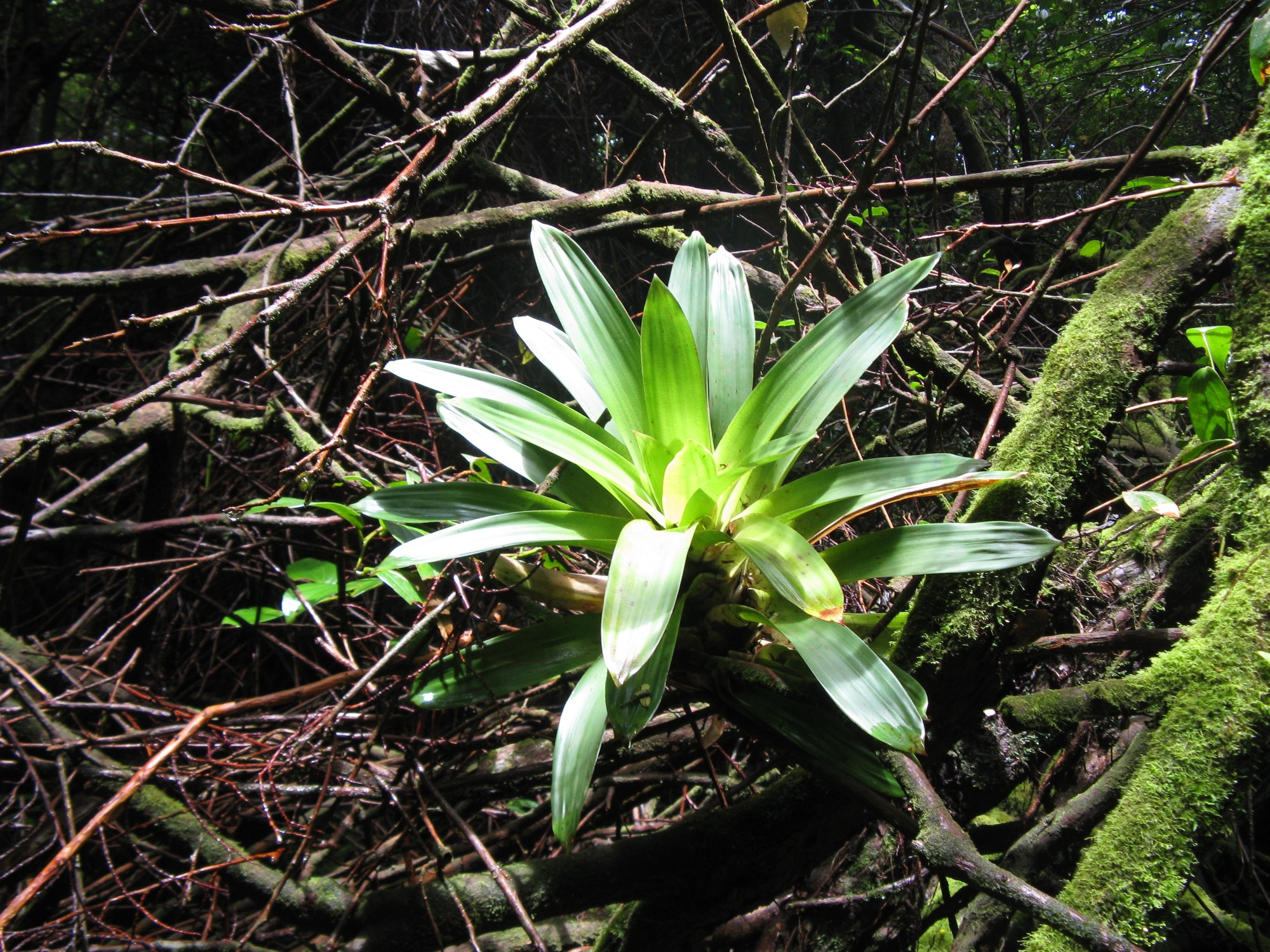 Costa Rica