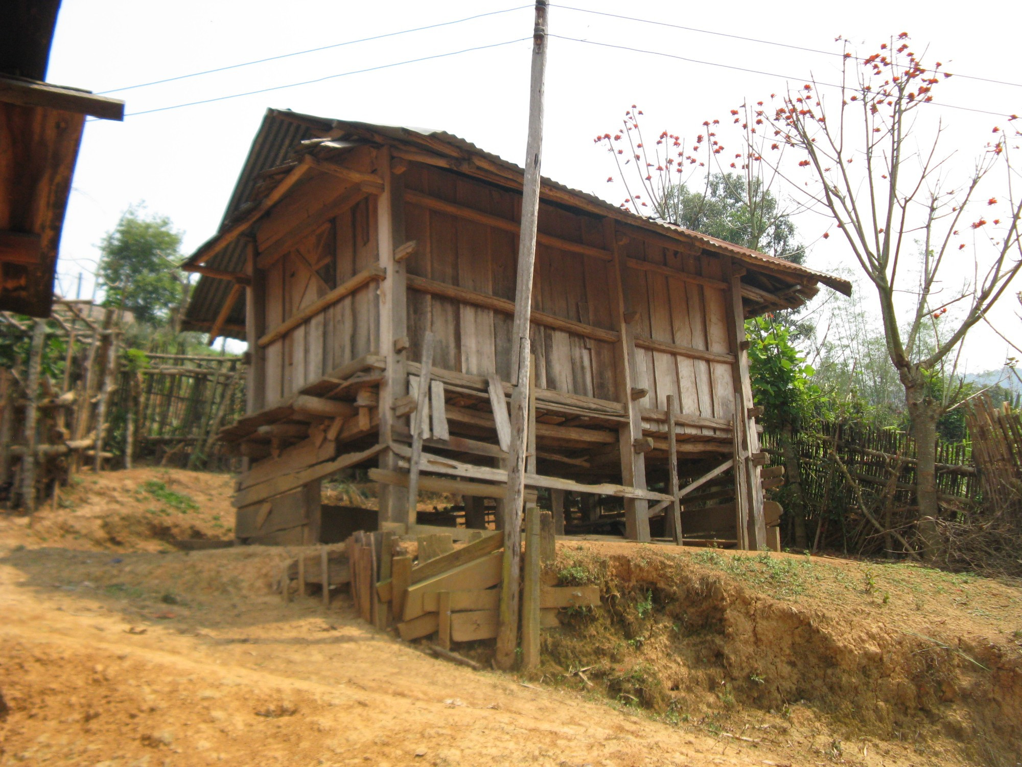 Laos