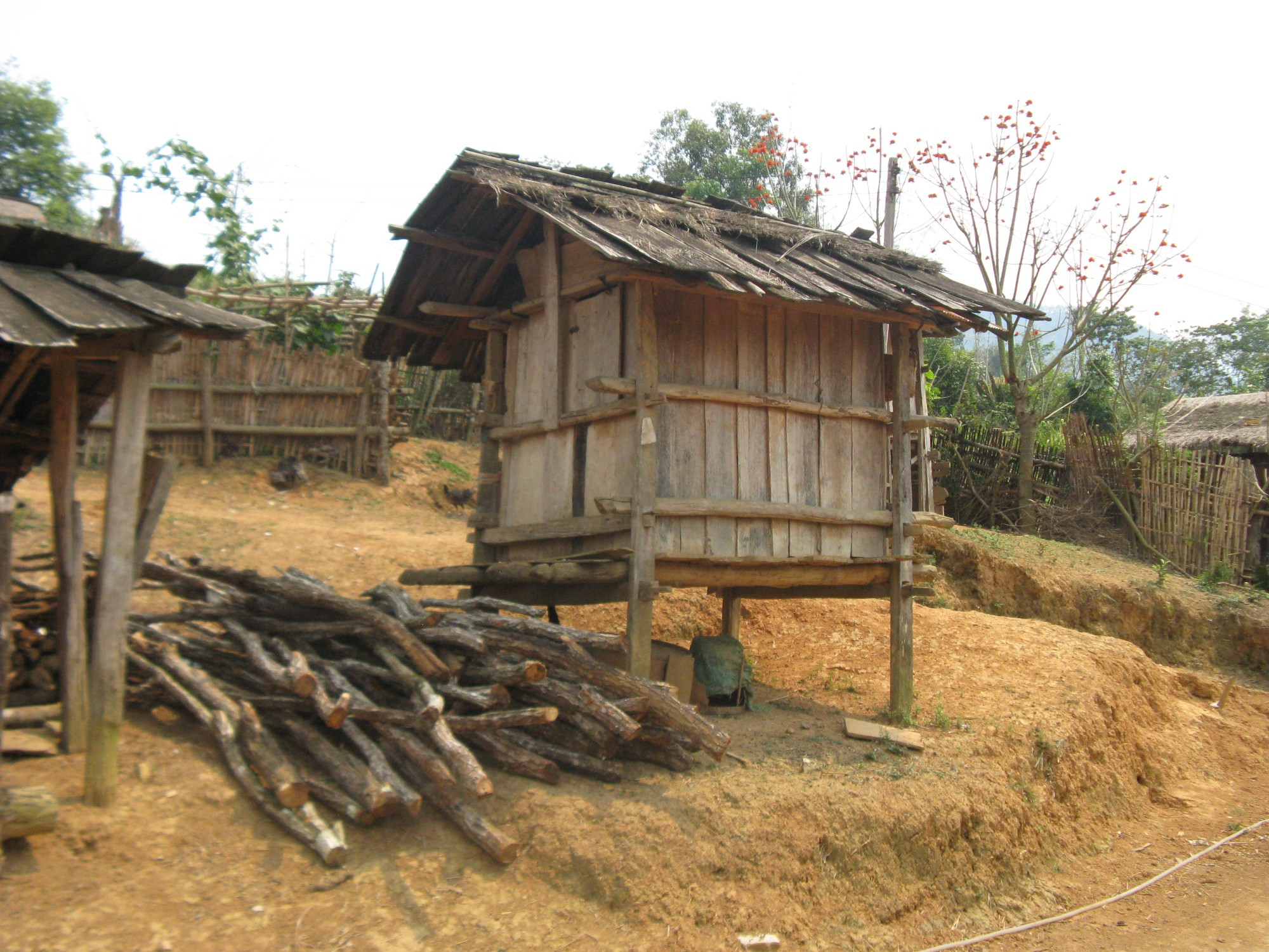 Laos