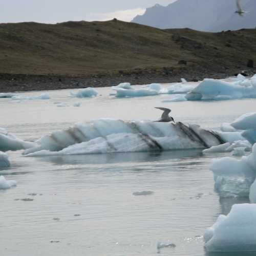 Iceland