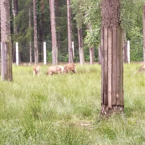 Belarus