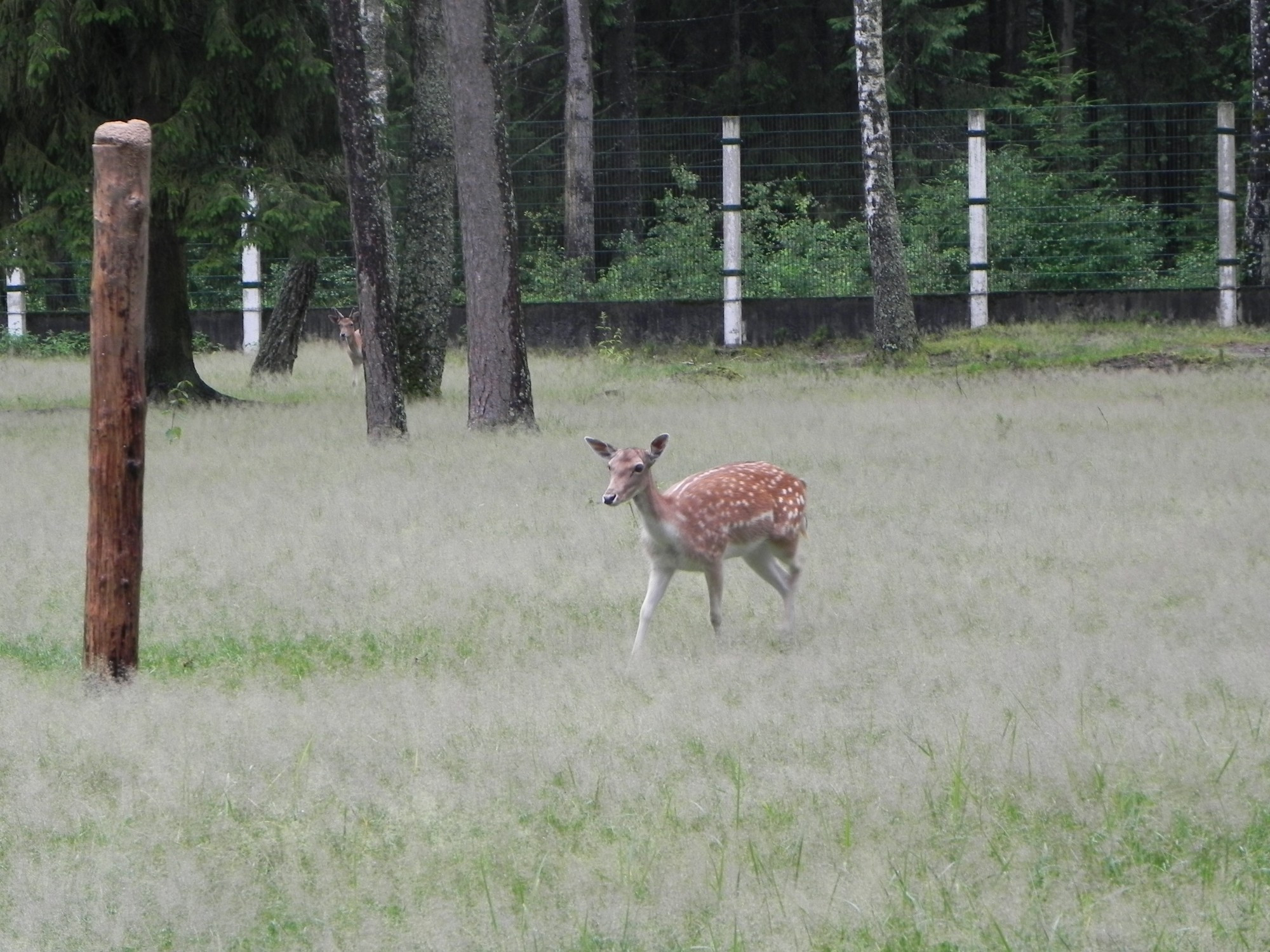 Belarus