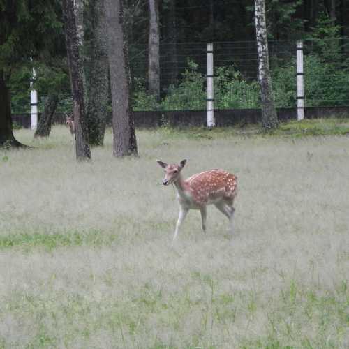 Belarus