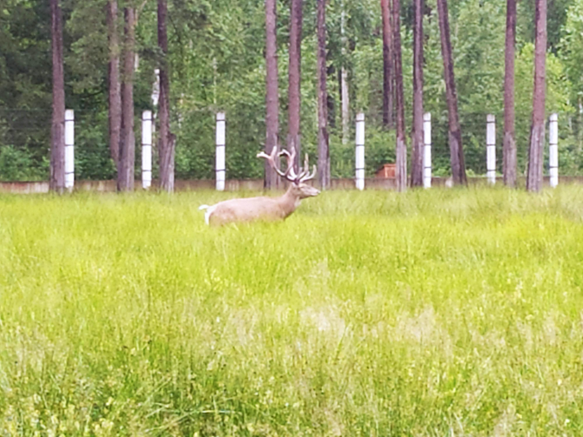 Belarus