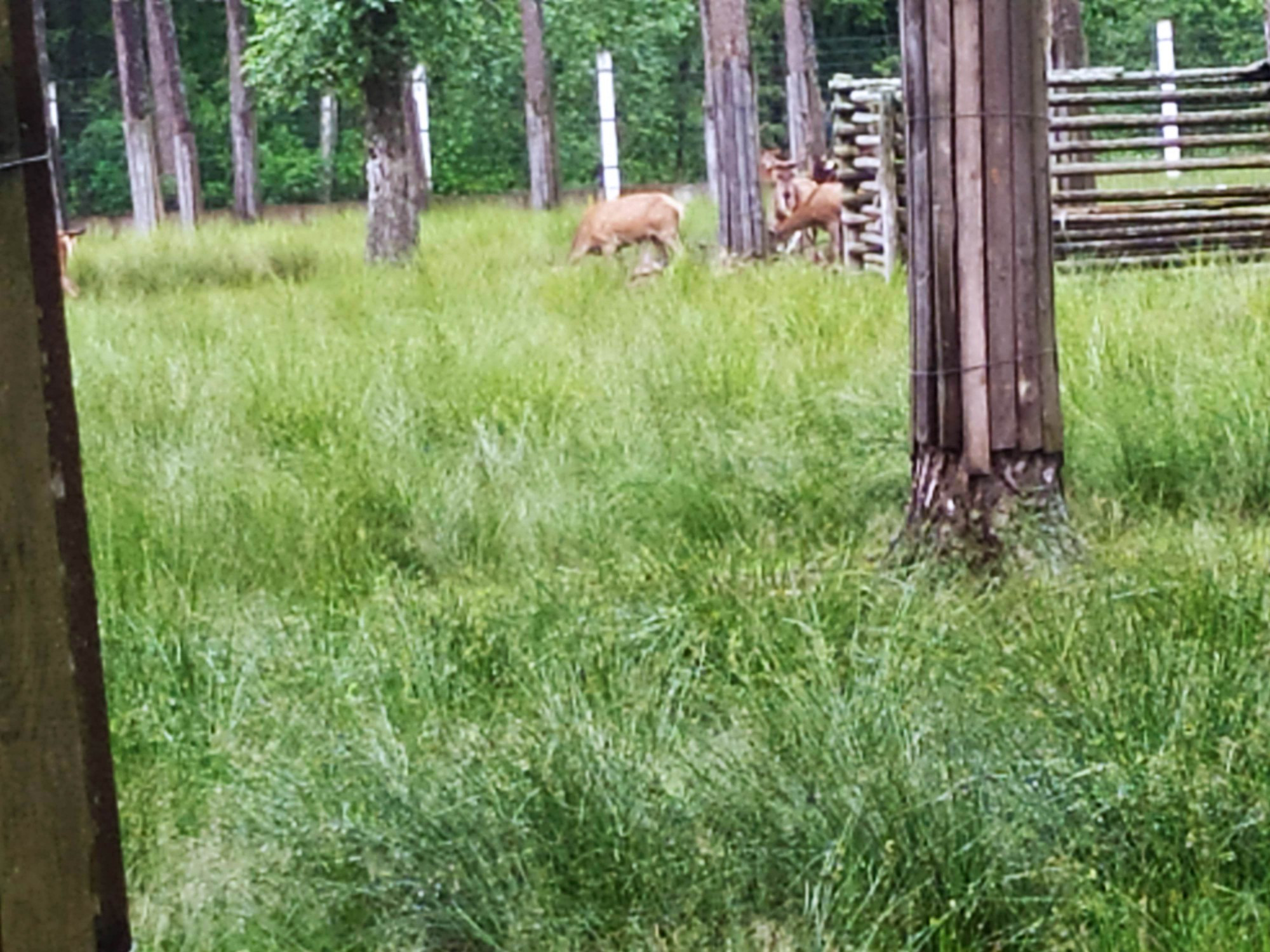 Belarus