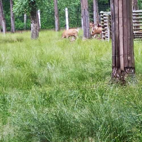 Belarus