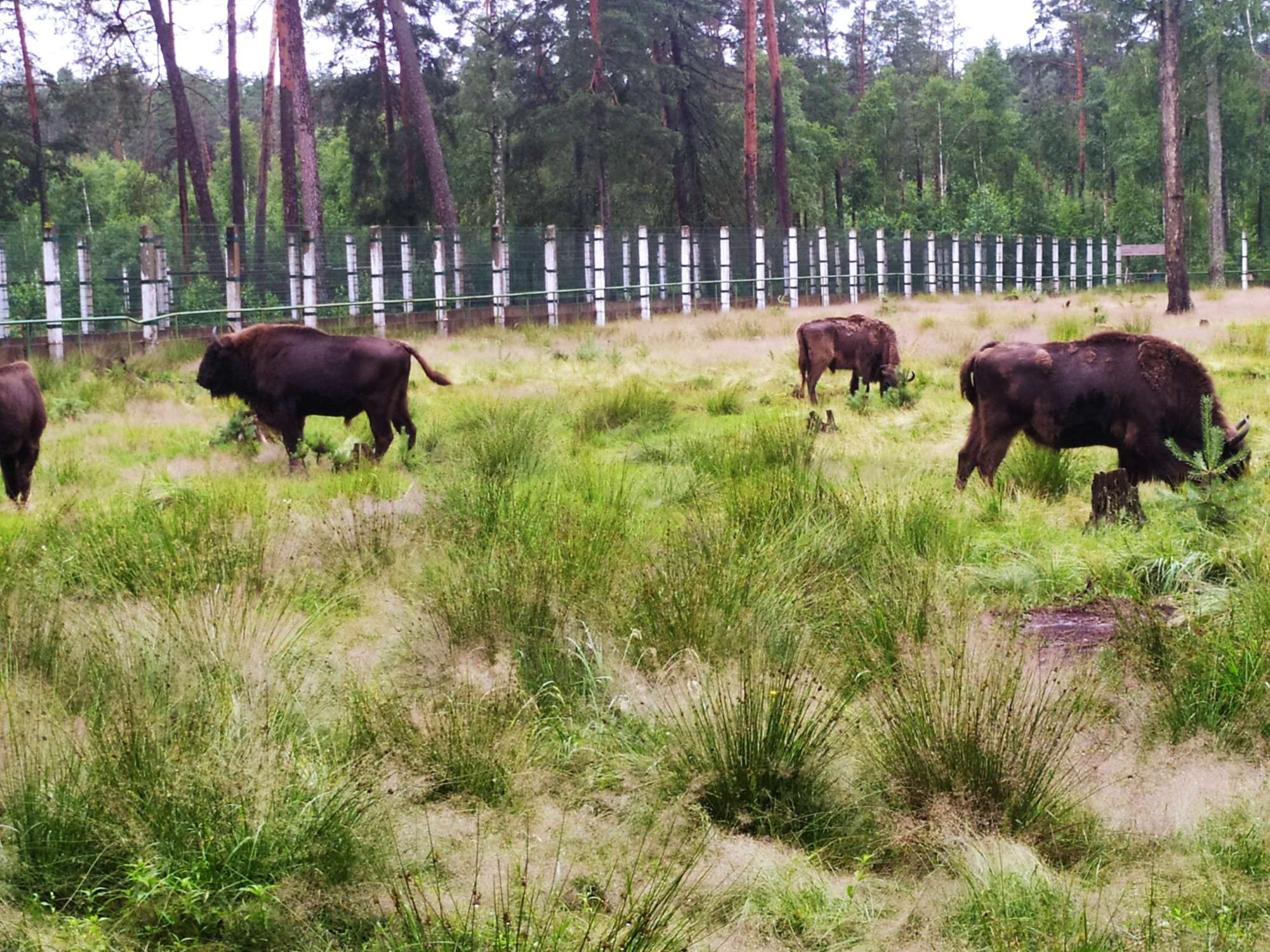 Belarus