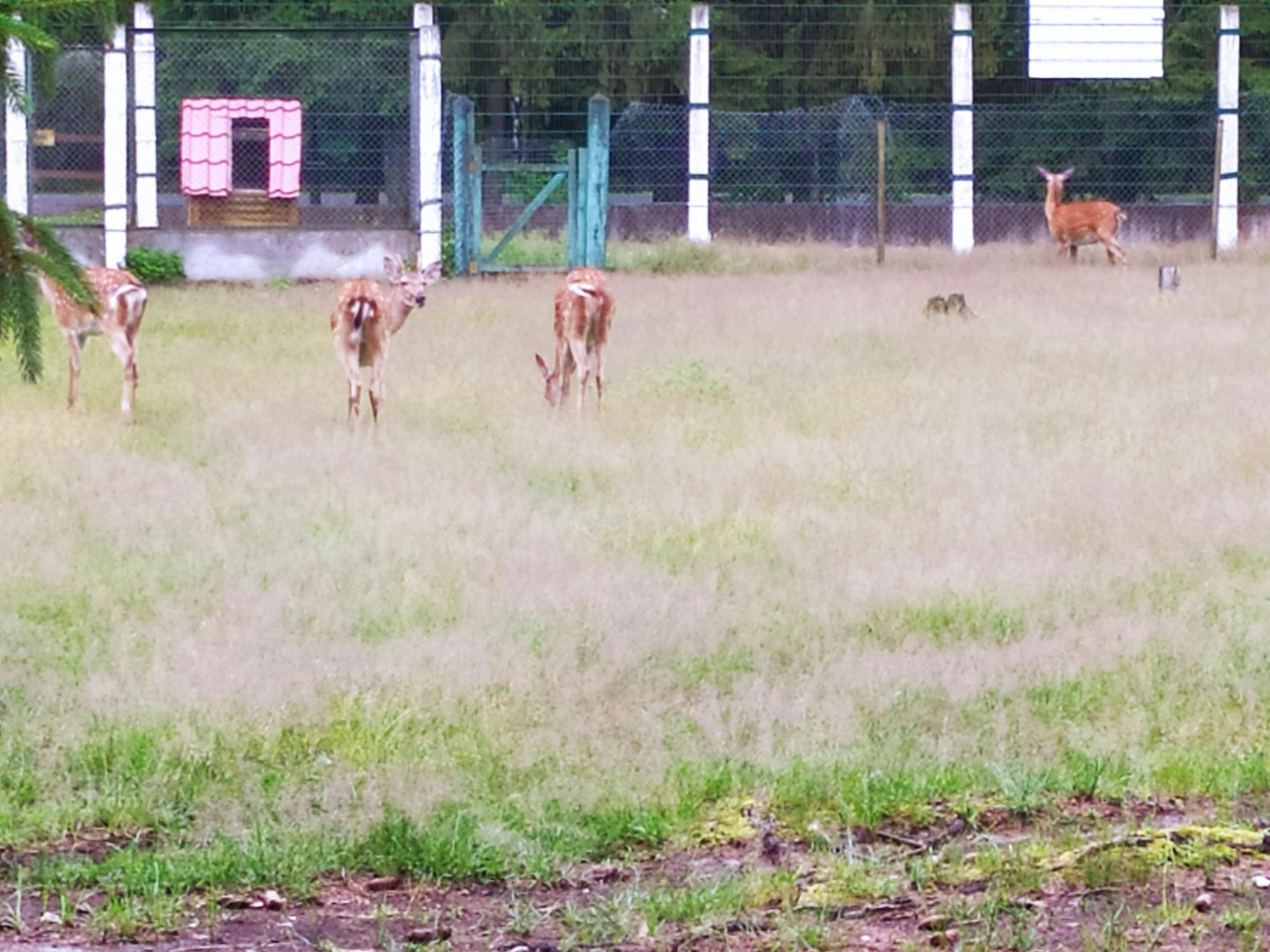 Belarus