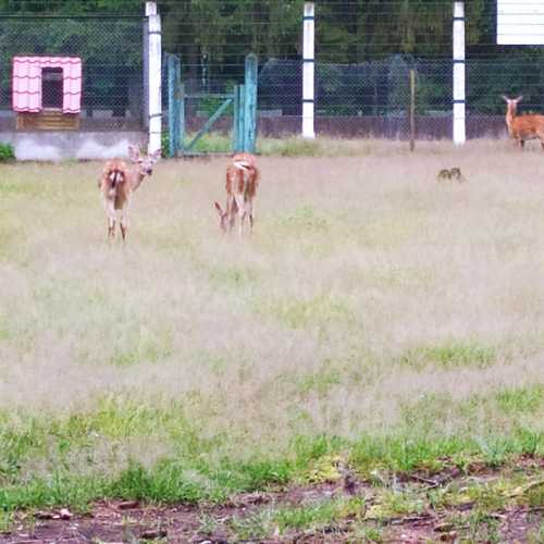 Belarus