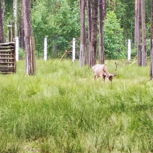 Belarus