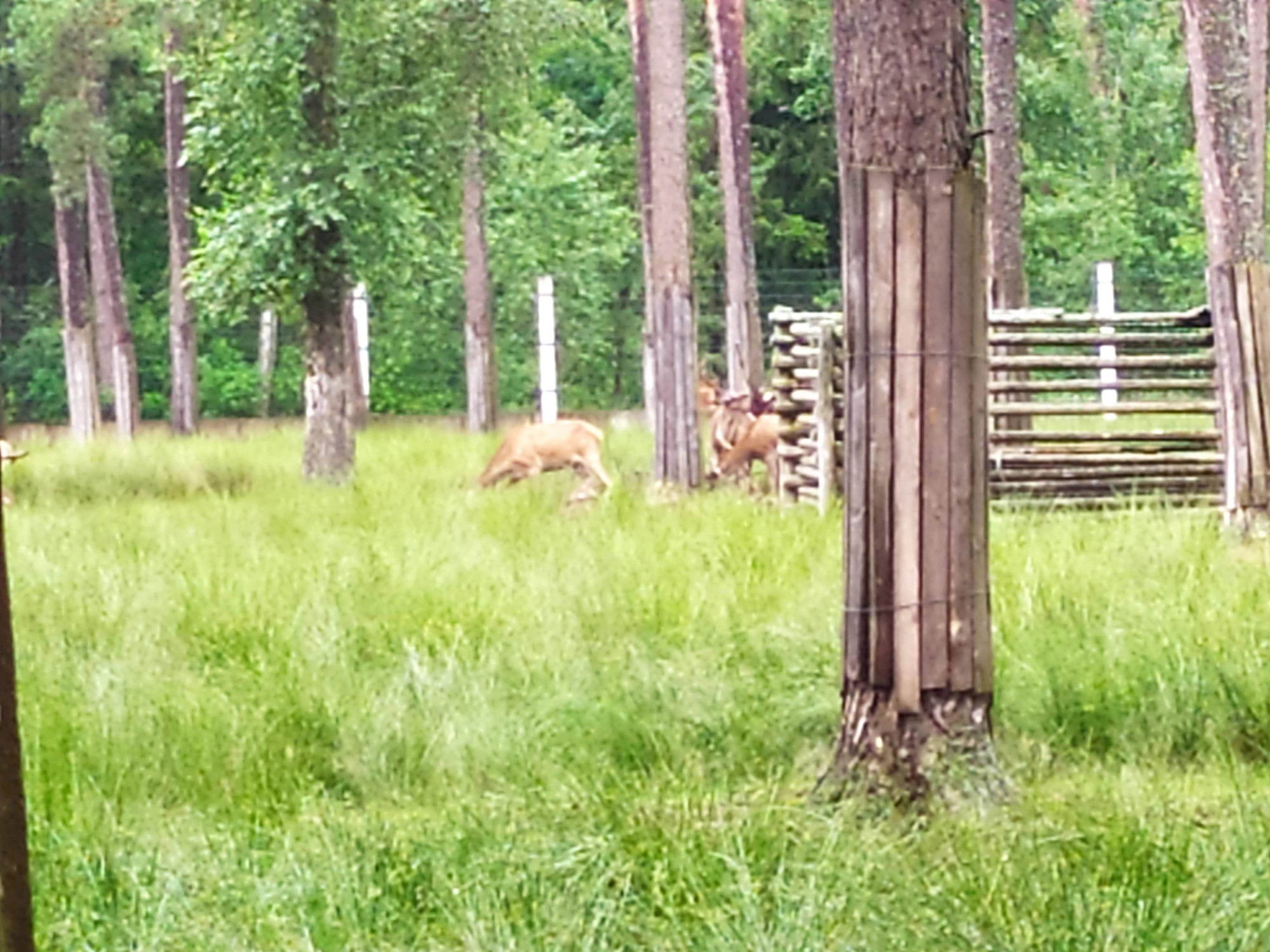 Belarus