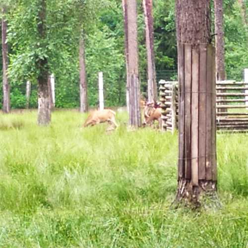 Беларусь