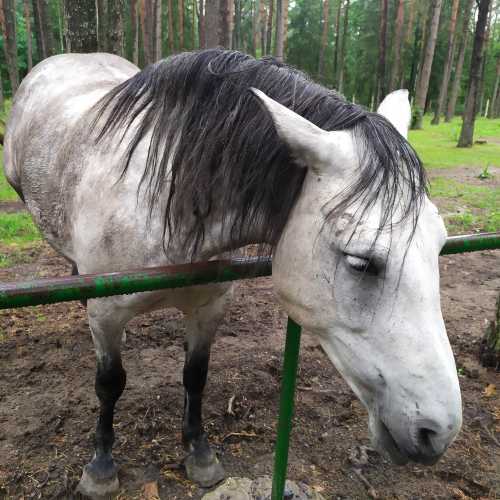 Belarus