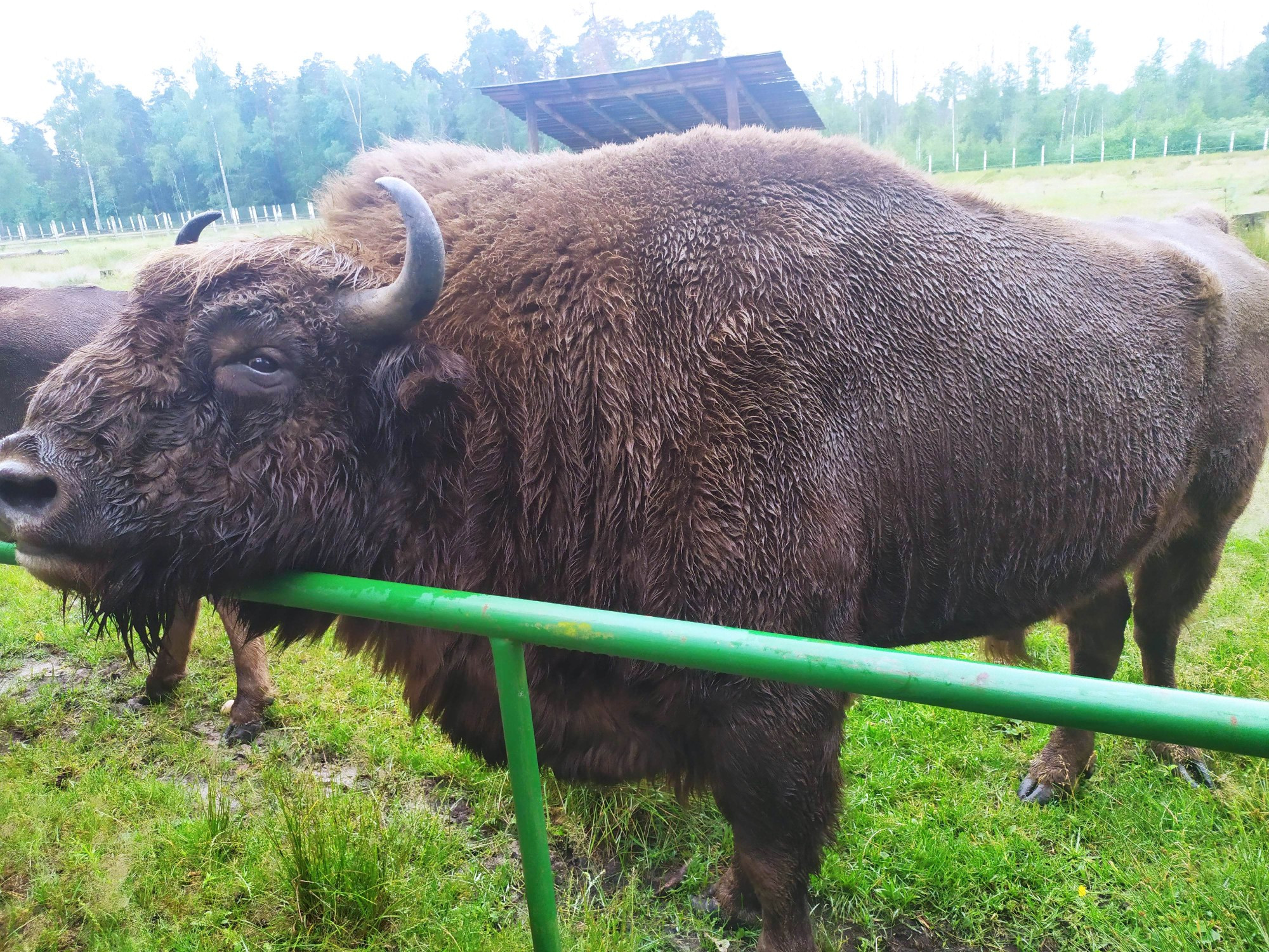 Belarus