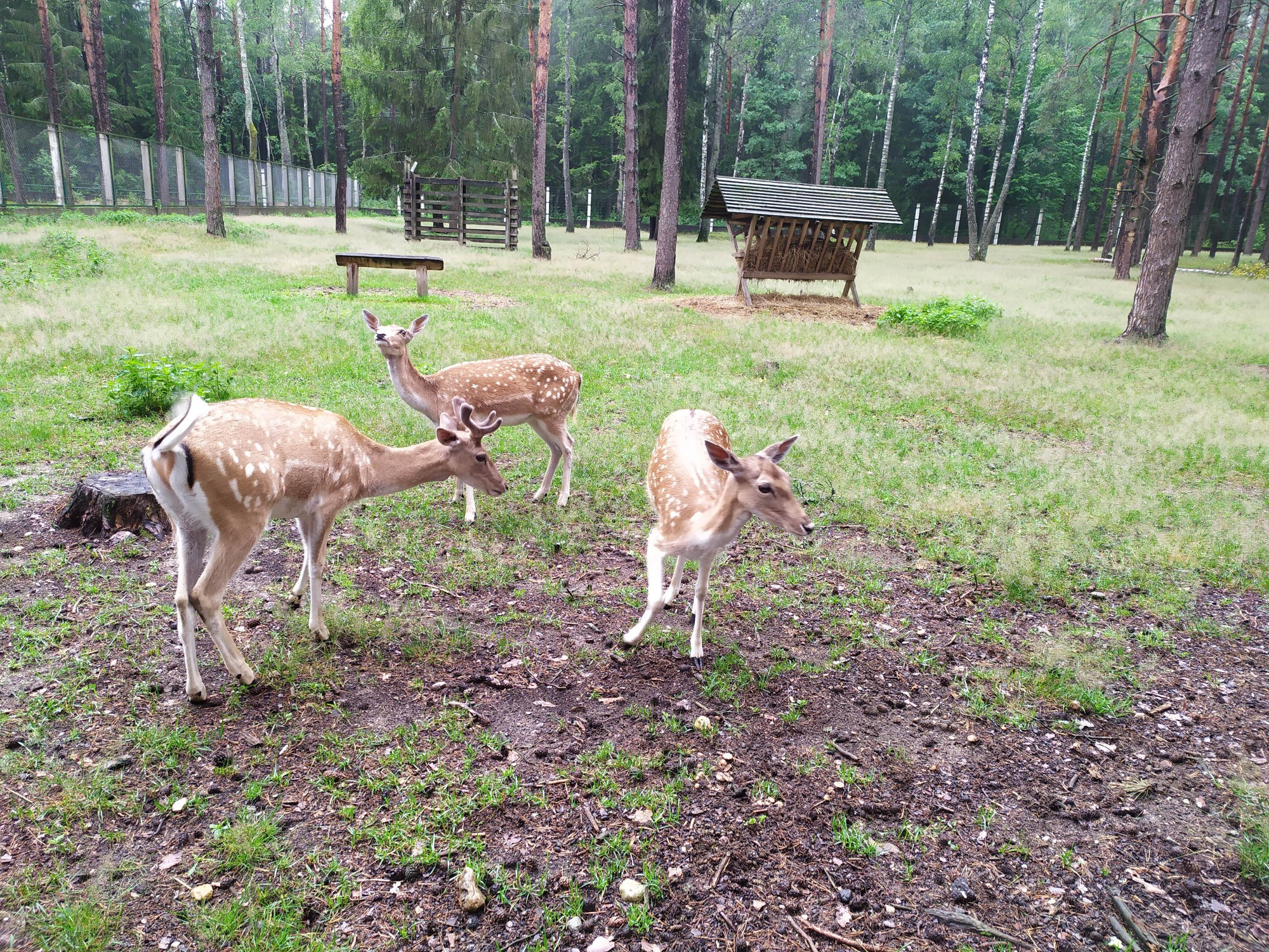 Belarus