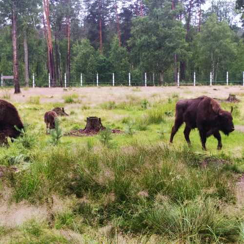 Беларусь