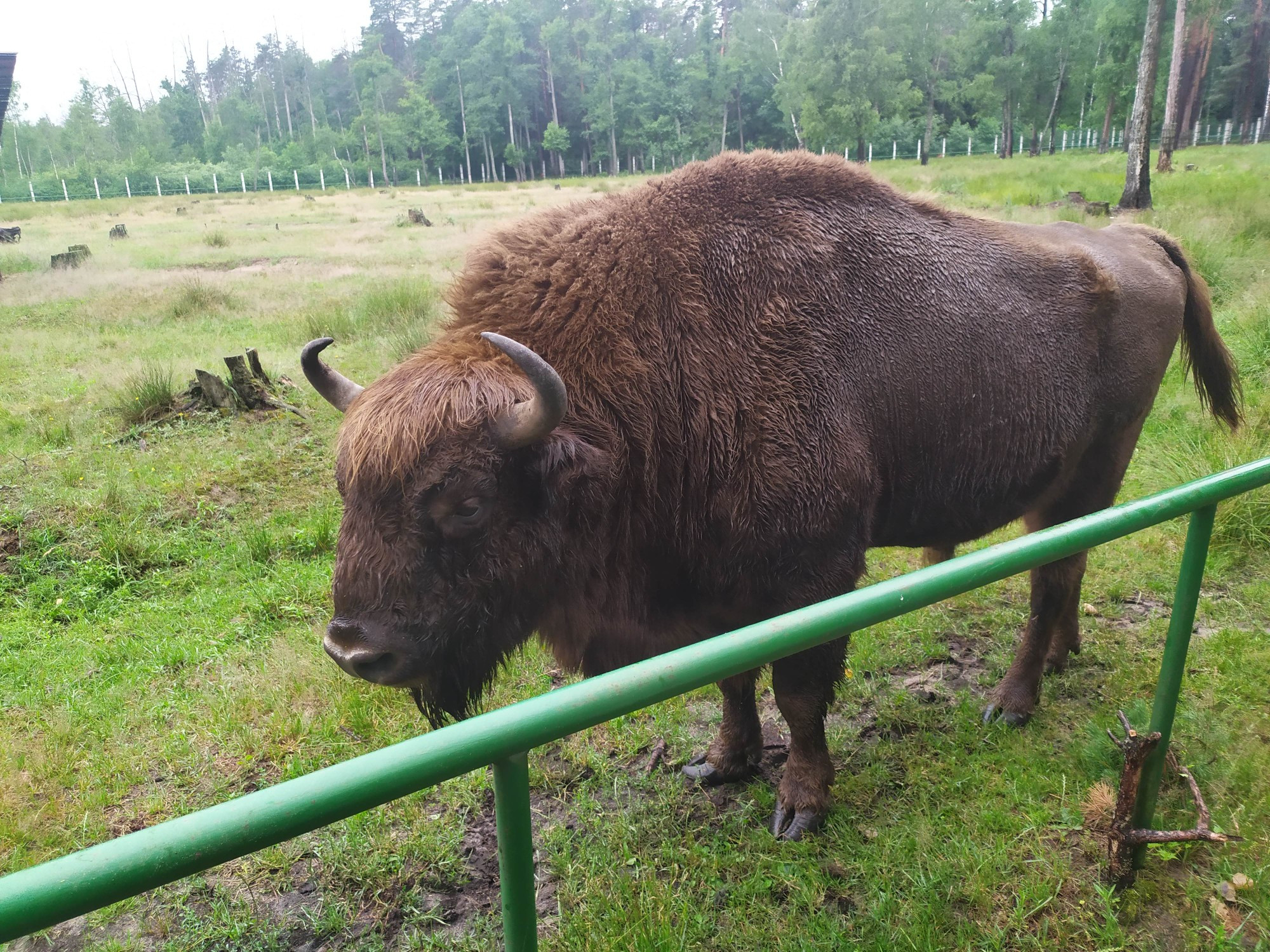 Belarus