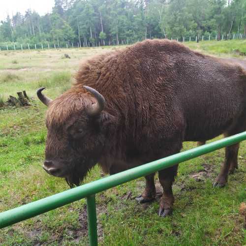 Belarus