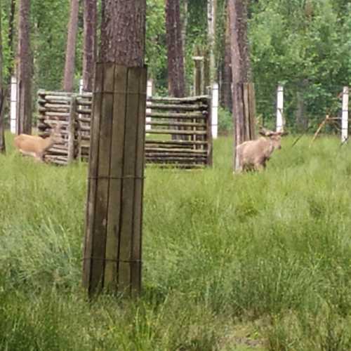 Belarus