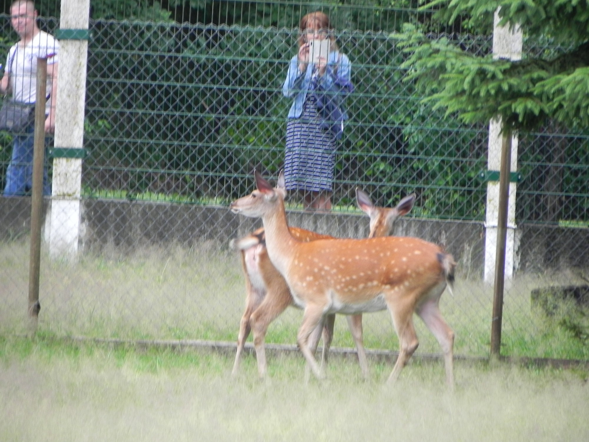 Belarus