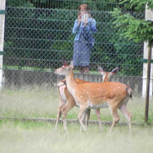 Belarus