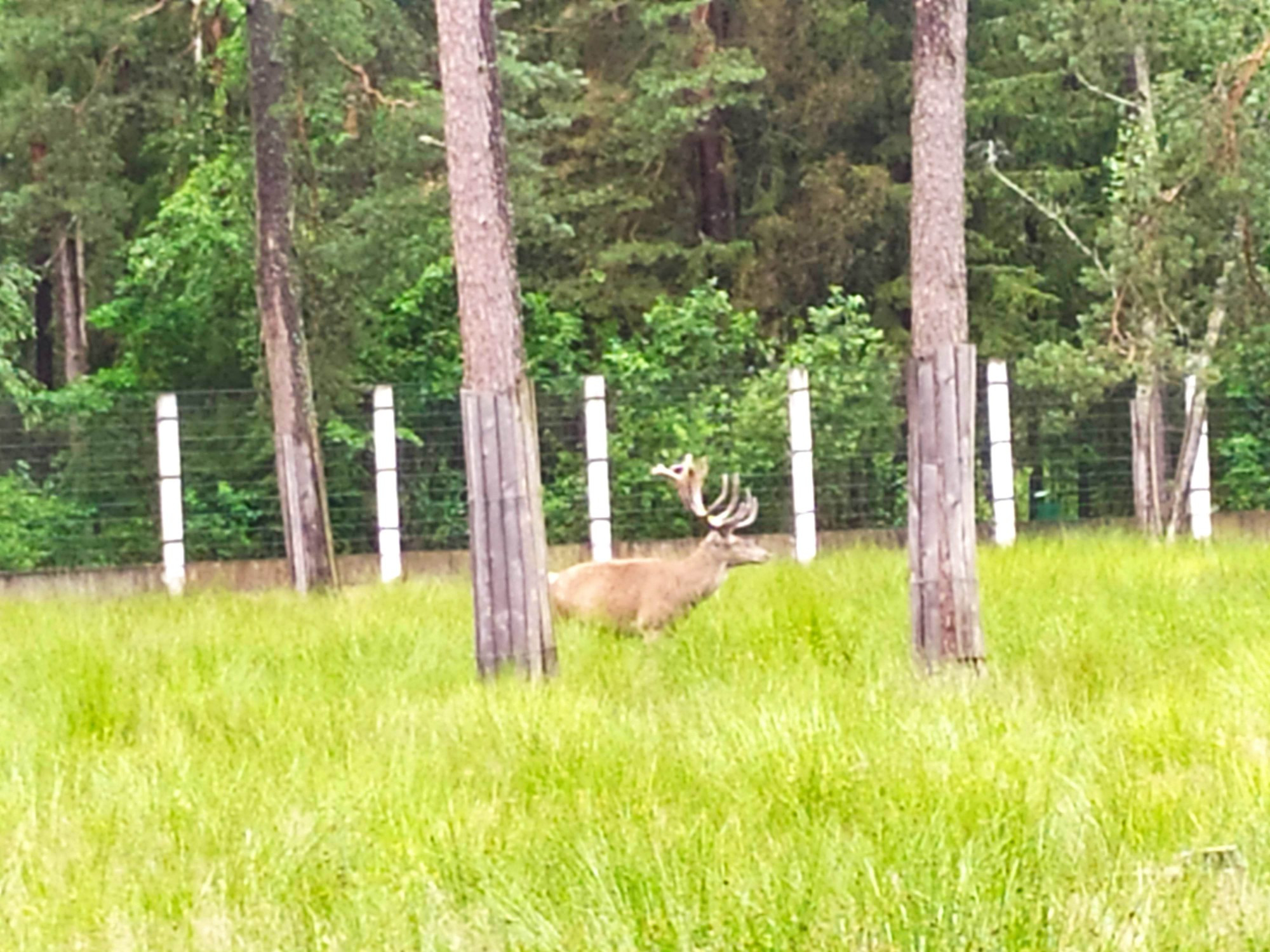 Belarus