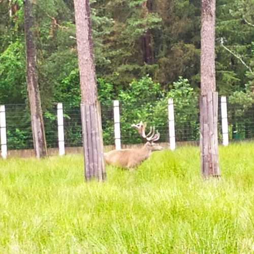 Belarus