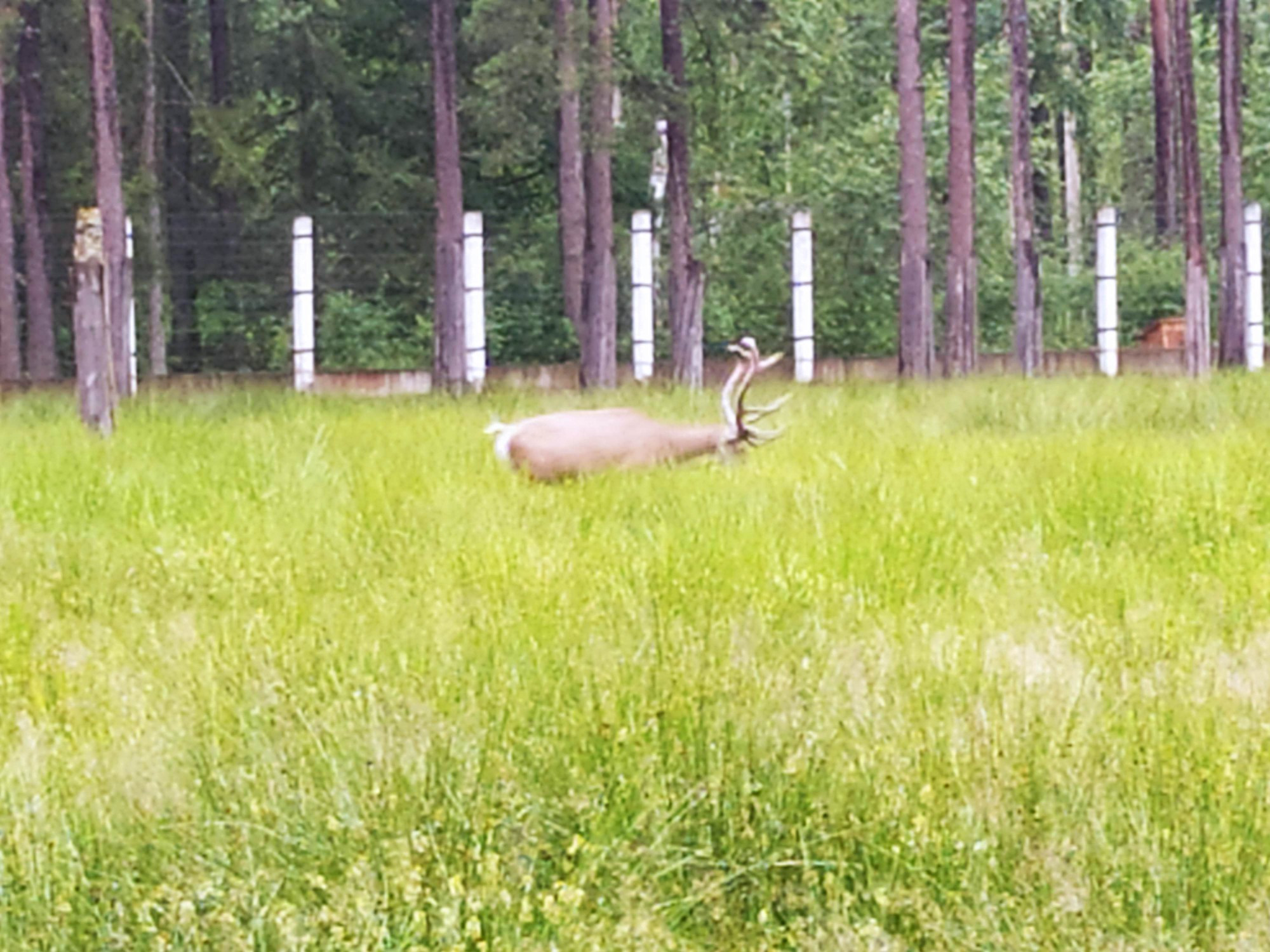 Belarus