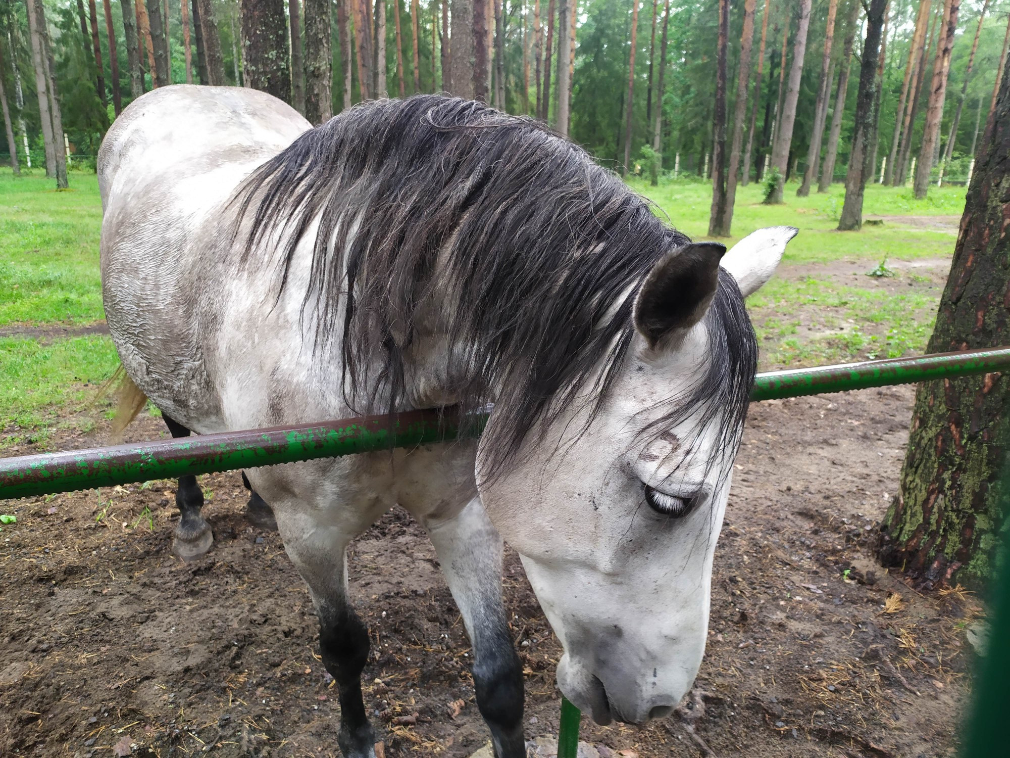 Belarus