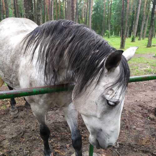 Belarus