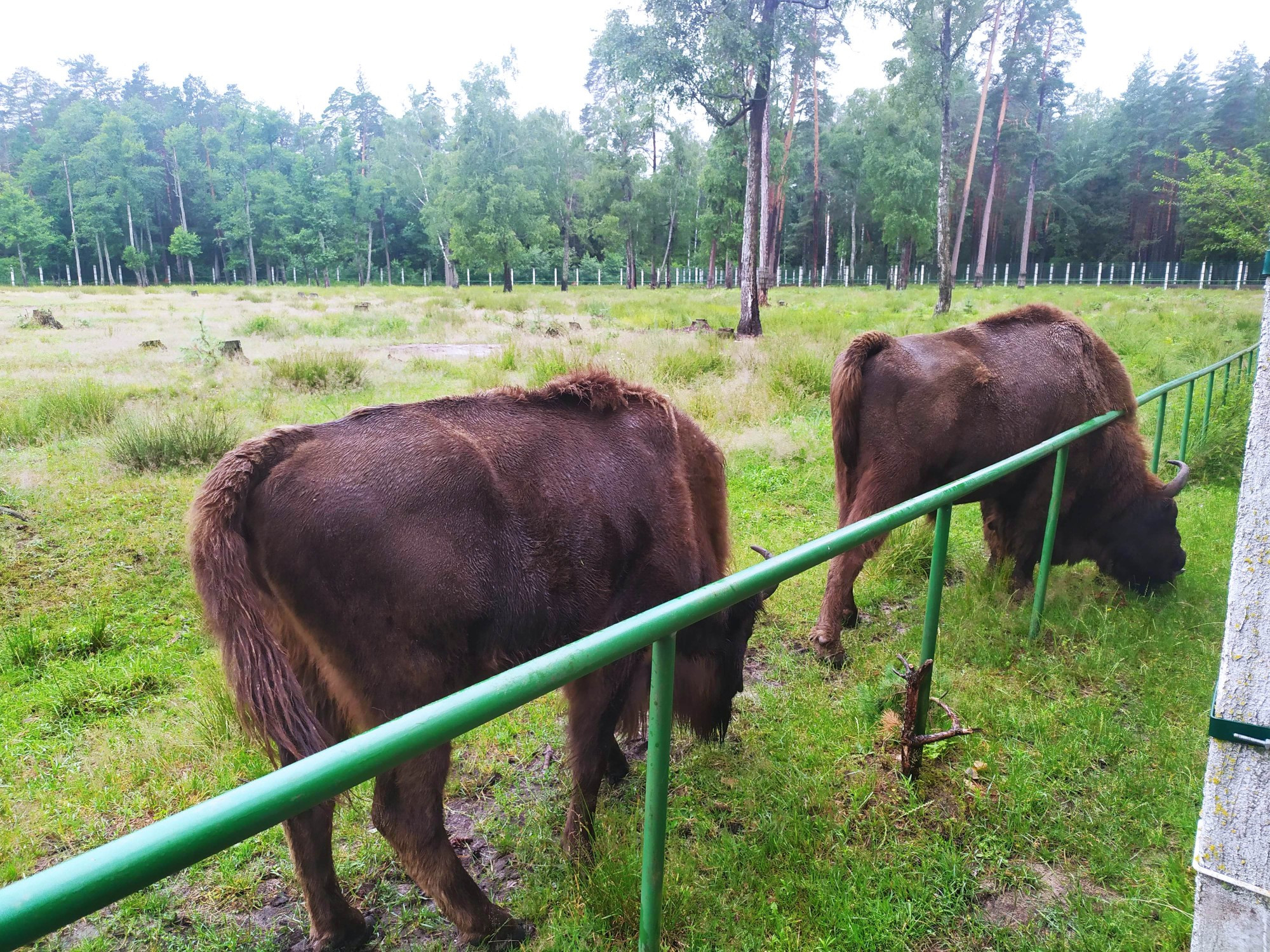 Belarus