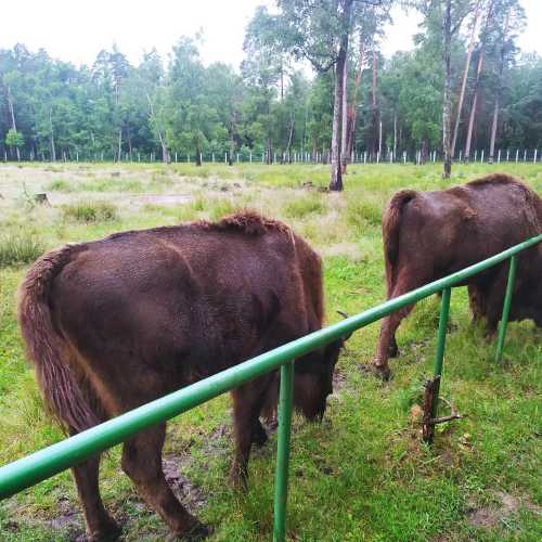 Belarus