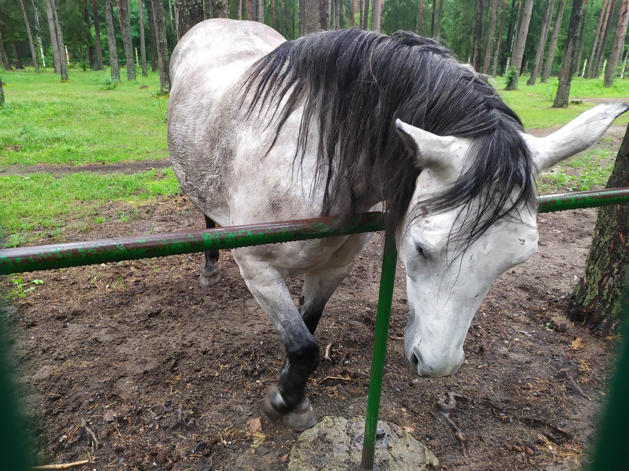 Belarus