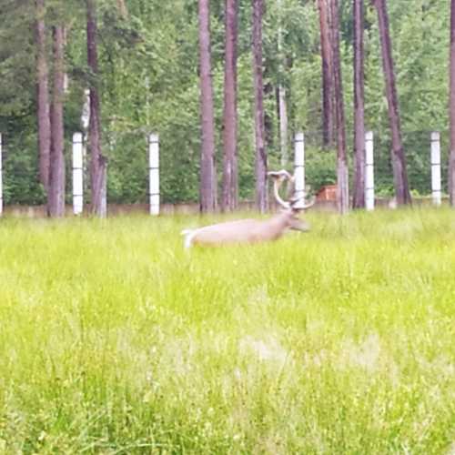 Belarus