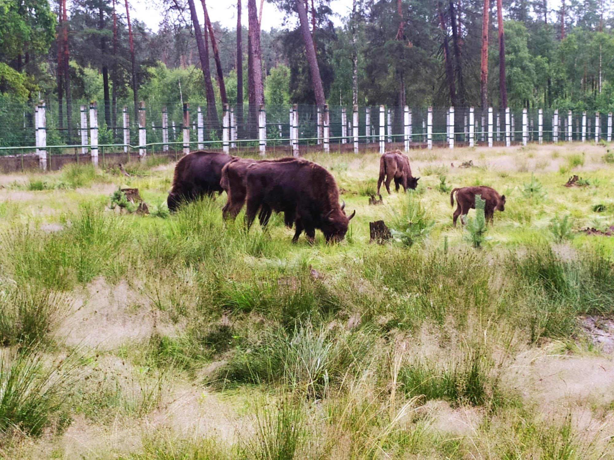 Belarus