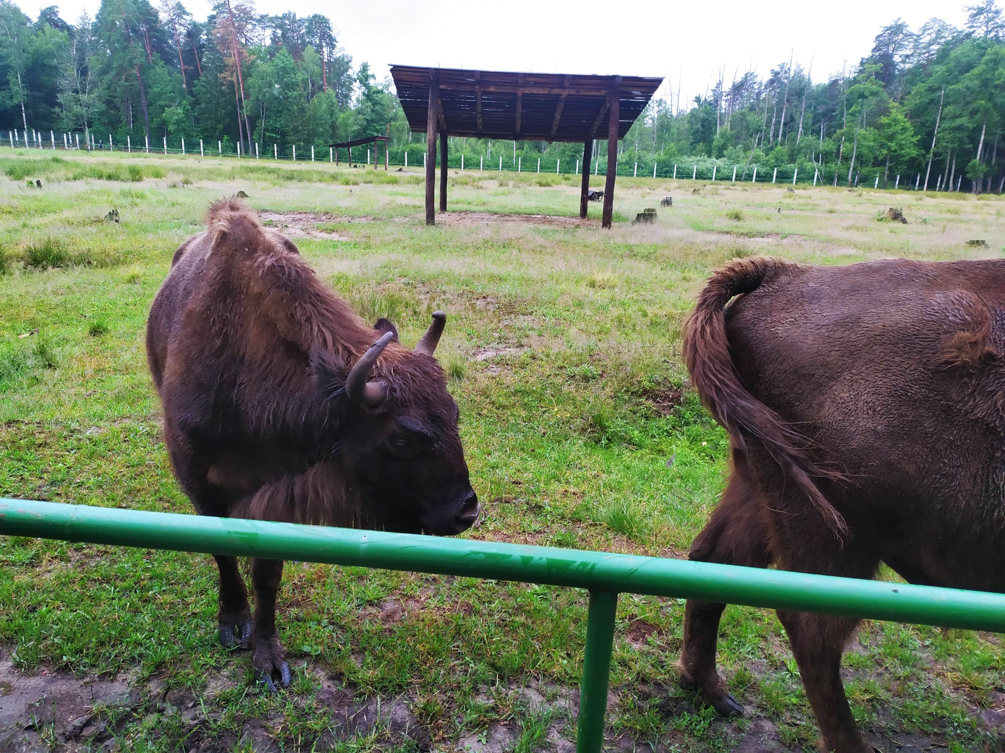 Belarus