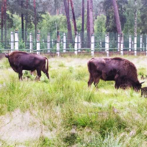 Belarus