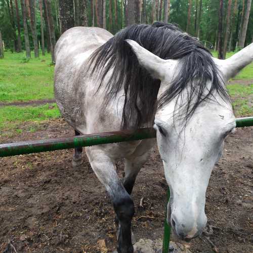 Belarus