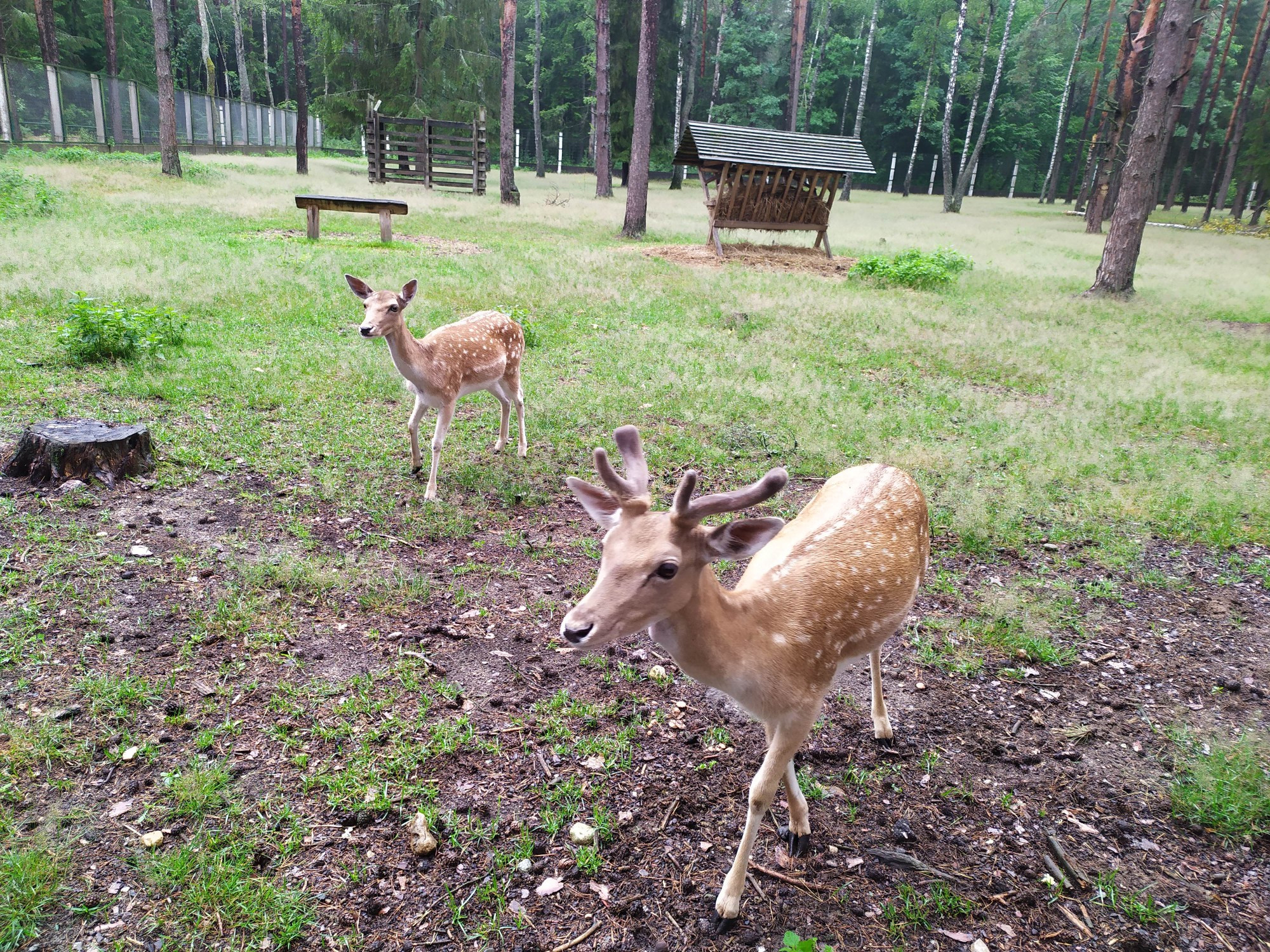 Belarus