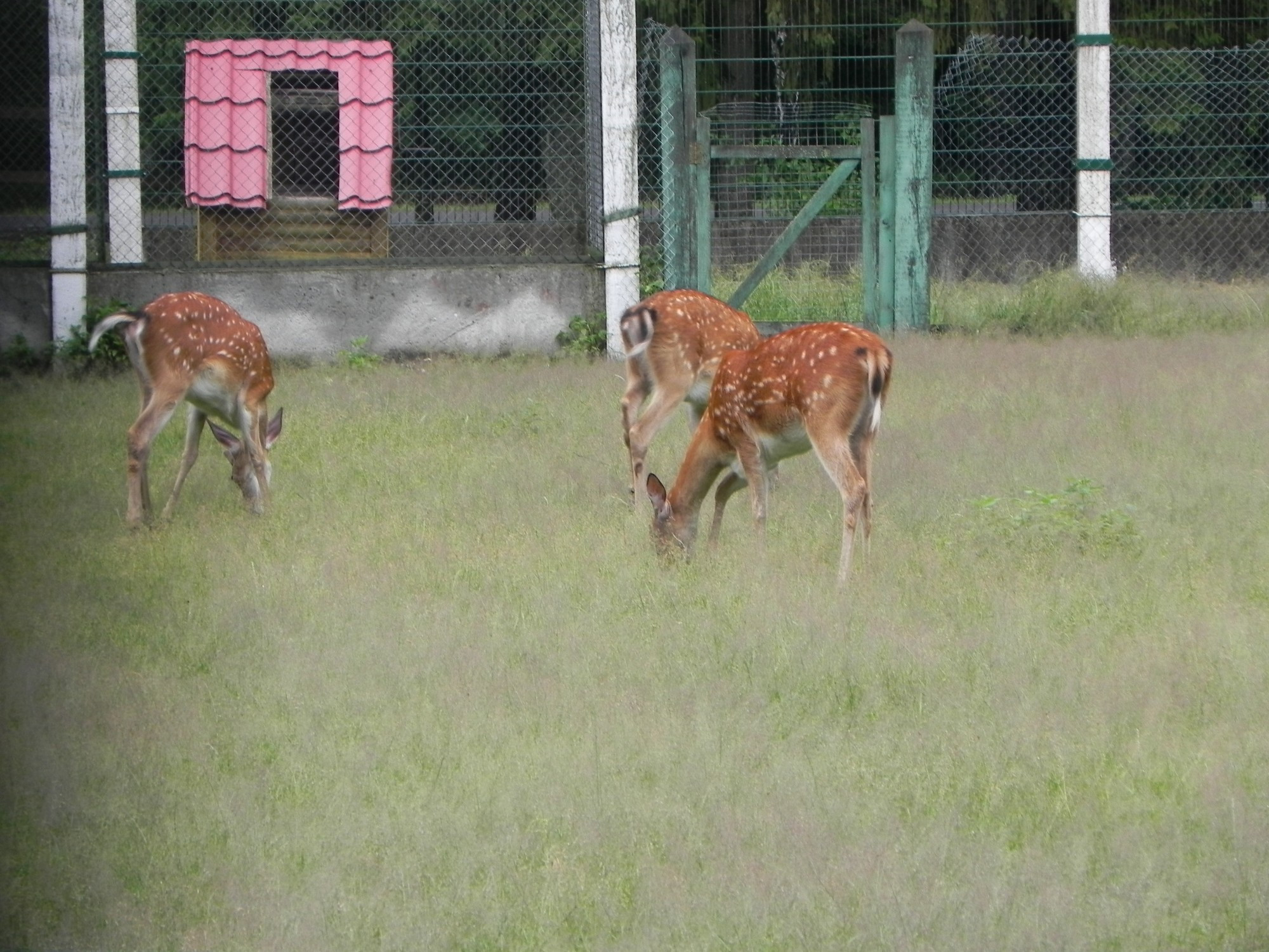 Belarus