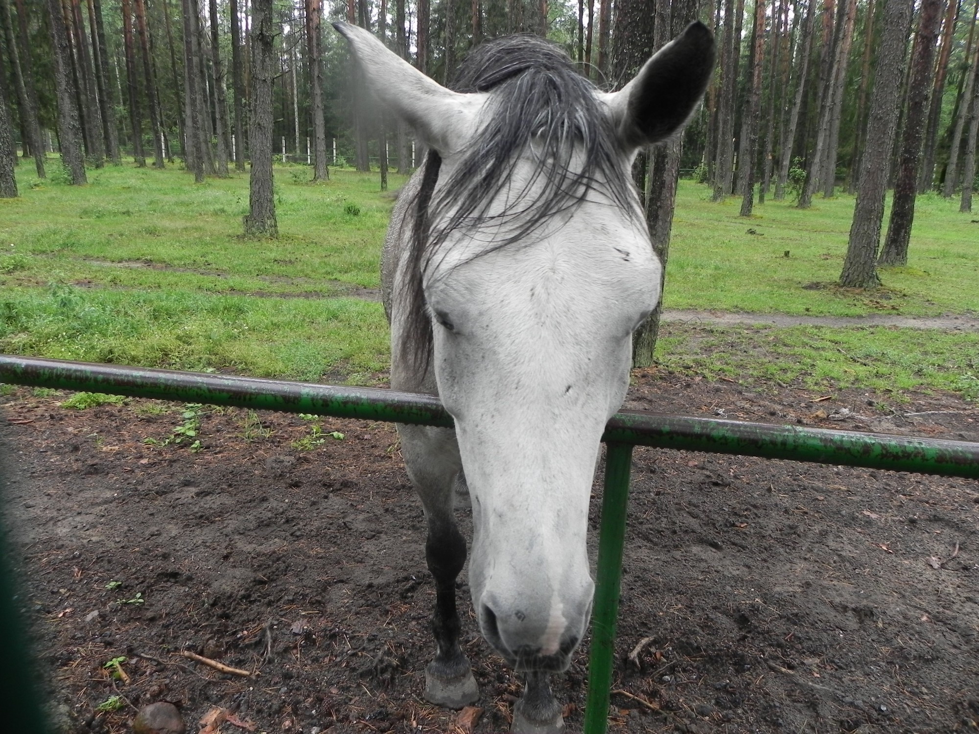 Belarus