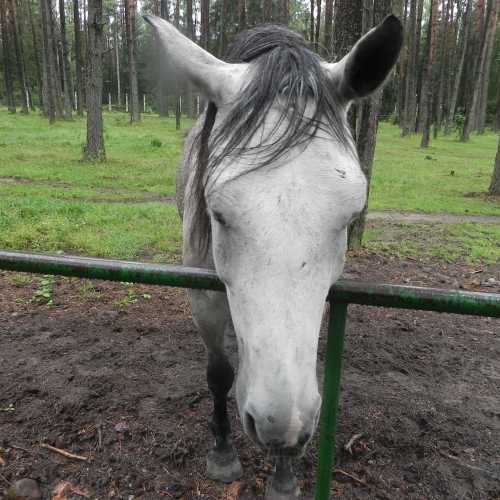 Belarus