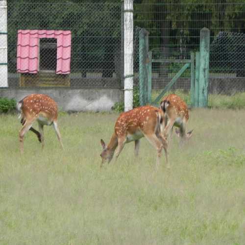 Belarus