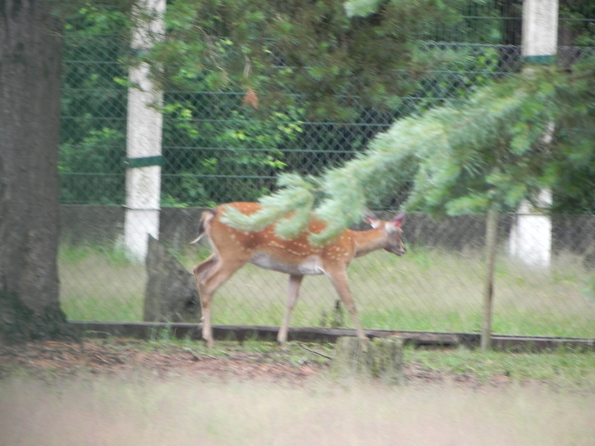 Belarus