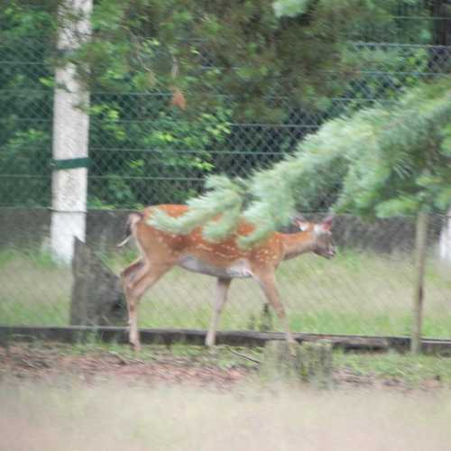 Belarus