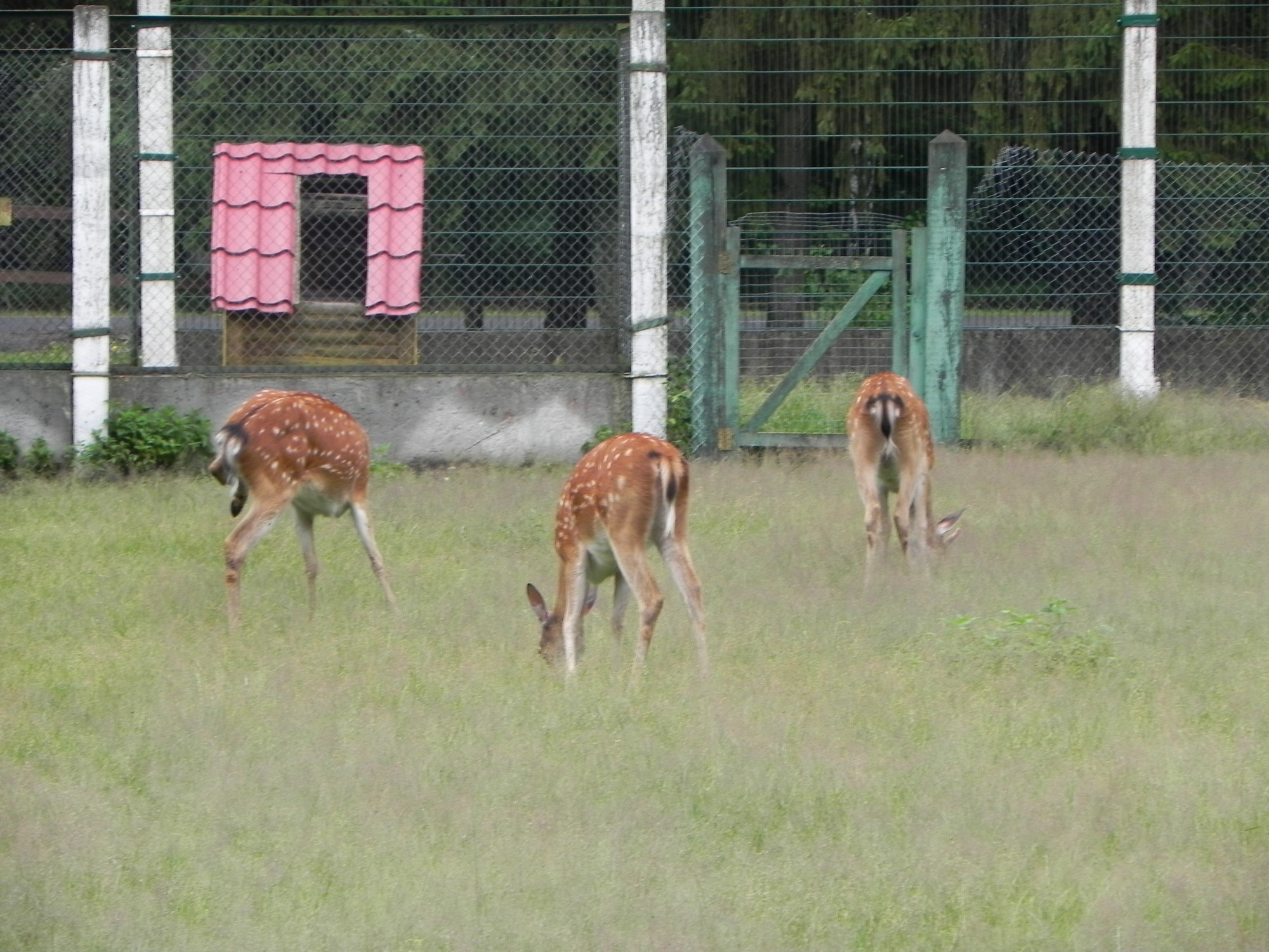 Belarus