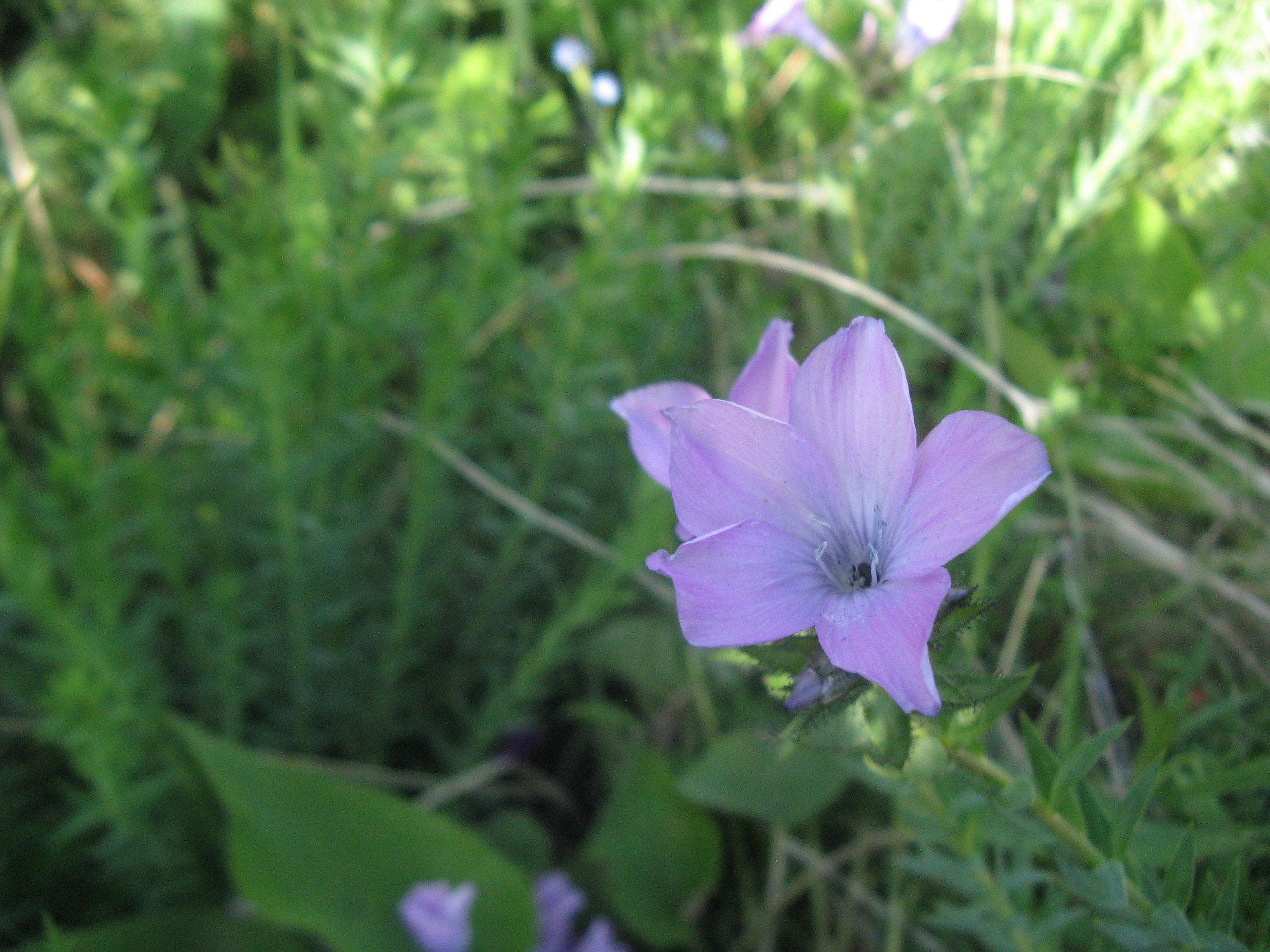 Kyrgyzstan