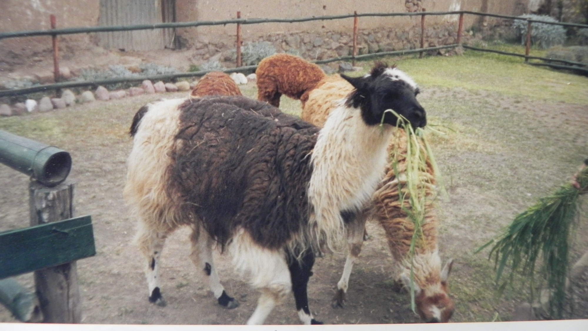 Peru