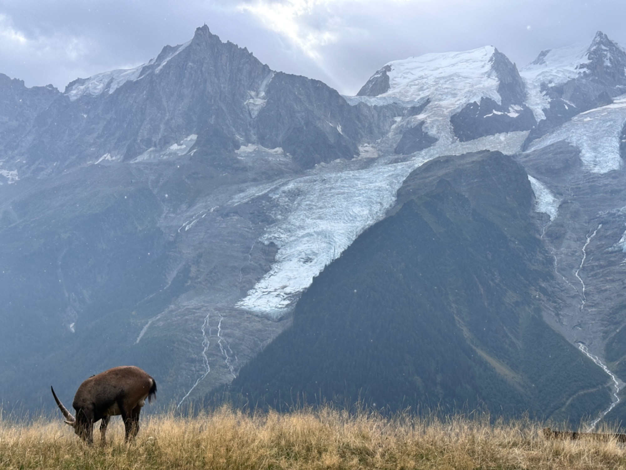 Chamonix Mont-Blanc