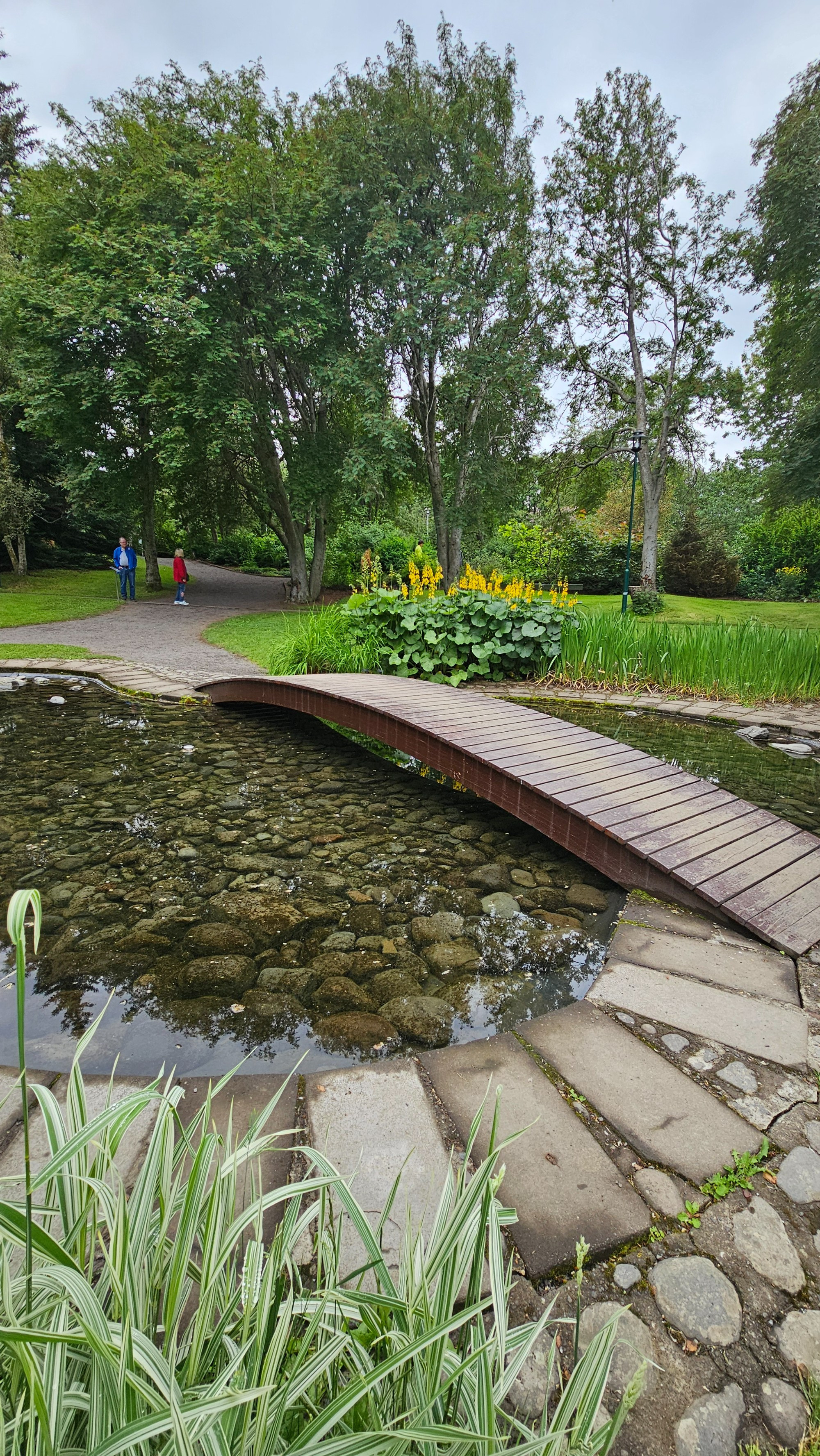 Akureyri Botanical Garden, Исландия